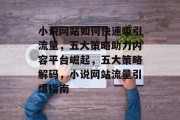 小说网站如何快速吸引流量，五大策略助力内容平台崛起，五大策略解码，小说网站流量引爆指南