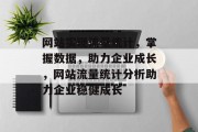 网站实现流量统计，掌握数据，助力企业成长，网站流量统计分析助力企业稳健成长