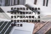 农户如何在当下农业大环境下赚取利润？，农业生产技巧与策略，当前农业大环境下的农民盈利之道