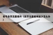 老号自然流量提升（自然流量越来越少怎么办）