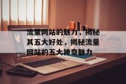 流量网站的魅力，揭秘其五大好处，揭秘流量网站的五大神奇魅力