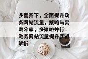 多管齐下，全面提升政务网站流量，策略与实践分享，多策略并行，政务网站流量提升实战解析