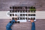 导流量网站，如何利用互联网平台实现高效流量导入，高效导流秘籍，揭秘互联网平台流量导入策略