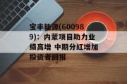 宝丰能源(600989)：内蒙项目助力业绩高增 中期分红增加投资者回报