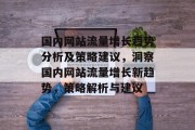国内网站流量增长趋势分析及策略建议，洞察国内网站流量增长新趋势，策略解析与建议