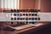 政采领域如何实现盈利？探讨五种有效策略，政采领域的盈利策略探索，五种实用方法