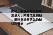 揭秘，那些网站为何引流量大，网站流量揭秘，揭秘高流量网站的秘诀与策略