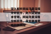 深入解析网站流量深度分析软件，助力企业精准营销，网站流量深度分析软件，企业精准营销利器揭秘