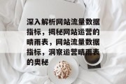 深入解析网站流量数据指标，揭秘网站运营的晴雨表，网站流量数据指标，洞察运营晴雨表的奥秘