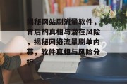 揭秘网站刷流量软件，背后的真相与潜在风险，揭秘网络流量刷单内幕，软件真相与风险分析