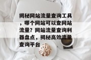 揭秘网站流量查询工具，哪个网站可以查网站流量？网站流量查询利器盘点，揭秘高效流量查询平台