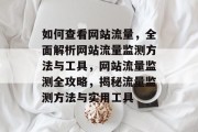 如何查看网站流量，全面解析网站流量监测方法与工具，网站流量监测全攻略，揭秘流量监测方法与实用工具