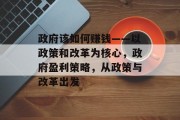 政府该如何赚钱——以政策和改革为核心，政府盈利策略，从政策与改革出发