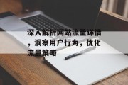 深入解析网站流量详情，洞察用户行为，优化流量策略