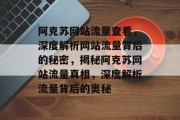 阿克苏网站流量查看，深度解析网站流量背后的秘密，揭秘阿克苏网站流量真相，深度解析流量背后的奥秘