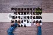 揭秘最佳流量统计网站，助力企业精准把握市场脉搏，揭秘行业领先流量统计平台，企业市场洞察利器