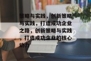 策略与实践，创新策略与实践，打造成功企业之路，创新策略与实践，打造成功企业的核心动力