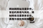 揭秘刷网站流量软件，背后的真相与风险，揭秘网络流量刷单软件，真相与潜在风险探析
