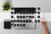揭秘刷网站流量案，网络黑产背后的灰色产业链，网络黑产揭秘，揭秘刷网站流量案，灰色产业链全貌