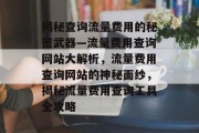 揭秘查询流量费用的秘密武器—流量费用查询网站大解析，流量费用查询网站的神秘面纱，揭秘流量费用查询工具全攻略