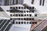 网站有索引却无流量，揭秘SEO优化中的常见问题及解决方案，网站SEO优化难题解析，无流量索引之谜破解