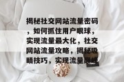 揭秘社交网站流量密码，如何抓住用户眼球，实现流量最大化，社交网站流量攻略，揭秘吸睛技巧，实现流量巅峰
