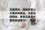 流量飙升，揭秘流量上升最快的网站，流量狂飙揭秘，谁是流量增长最快网站黑马？