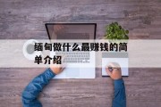缅甸做什么最赚钱的简单介绍