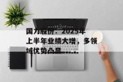 国力股份：2025年上半年业绩大增，多领域优势凸显