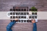 网站购买流量，揭秘网络营销的新趋势，网络流量购买揭秘，新趋势下的网络营销策略