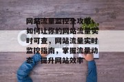 网站流量监控全攻略，如何让你的网站流量实时可查，网站流量实时监控指南，掌握流量动态，提升网站效率