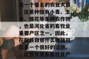 献县地处河北省北部,是一个著名的农业大县。这里种植有小麦、玉米、棉花等多种农作物,也是河北省的畜牧业重要产区之一。因此,在献县做些什么赚钱可以是一个很好的话题。,献县农业及畜牧业产业创业投资机会探讨 献县地处河北省北部,是一个著名的农业大县。这里种植有小麦、玉米、棉花等多种农作物,也是河北省的畜牧业重要产区之一。因此,在献县做些什么赚钱可以是一个很好的话题。,献县农业及畜牧业产业创业投资机会探讨