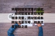 揭秘网站买流量的秘密，如何低成本获取海量精准流量，揭秘低成本网站流量攻略，精准流量获取之道