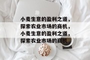 小麦生意的盈利之道，探索农业市场的商机，小麦生意的盈利之道，探索农业市场的商机