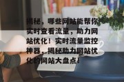 揭秘，哪些网站能帮你实时查看流量，助力网站优化！实时流量监控神器，揭秘助力网站优化的网站大盘点！