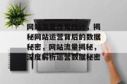 网站流量使用统计，揭秘网站运营背后的数据秘密，网站流量揭秘，深度解析运营数据秘密