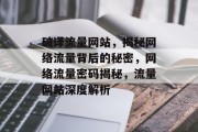 破译流量网站，揭秘网络流量背后的秘密，网络流量密码揭秘，流量网站深度解析