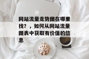 网站流量走势图在哪里找？，如何从网站流量图表中获取有价值的信息