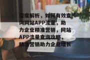深度解析，如何有效查询网站APP流量，助力企业精准营销，网站APP流量查询攻略，精准营销助力企业增长