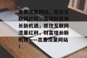 出售流量网站，抓住互联网红利，实现财富增长新机遇，抓住互联网流量红利，财富增长新机遇——出售流量网站！