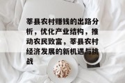 莘县农村赚钱的出路分析,优化产业结构,推动农民致富,莘县农村经济发展的新机遇与挑战 莘县农村赚钱的出路分析,优化产业结构,推动农民致富,莘县农村经济发展的新机遇与挑战