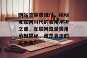 网站流量费谁付，揭秘互联网时代的费用承担之谜，互联网流量费用承担揭秘，谁是真正的买单者？
