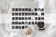 流量投放网站，助力企业精准营销的利器，精准营销新伙伴，流量投放网站助力企业高效触达目标客户