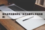 提升自然流量和转化（自然流量转化率低的原因）