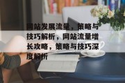 网站发展流量，策略与技巧解析，网站流量增长攻略，策略与技巧深度解析