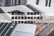算力降价、数据细分，垂直应用落地后大模型行业竞争点何在？