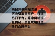 揭秘算命网站流量，如何吸引海量用户，打造热门平台，算命网站流量揭秘，流量攻略打造热门命理平台