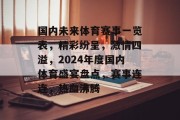 国内未来体育赛事一览表，精彩纷呈，激情四溢，2024年度国内体育盛宴盘点，赛事连连，热血沸腾