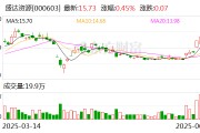 盛达资源：公司今年未开展白银套期保值业务