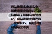 网站流量多少怎么查？揭秘流量查询技巧，助你精准了解网站运营状况，网站流量查询攻略，掌握技巧，精准评估网站运营态势